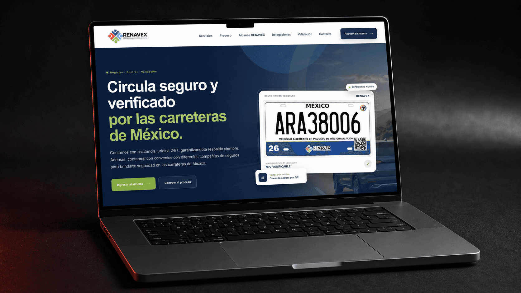 Vista del proyecto publicado RENAVEX